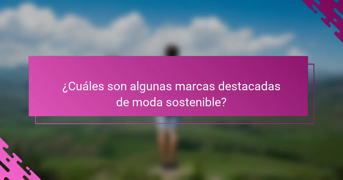 ¿Cuáles son algunas marcas destacadas de moda sostenible?