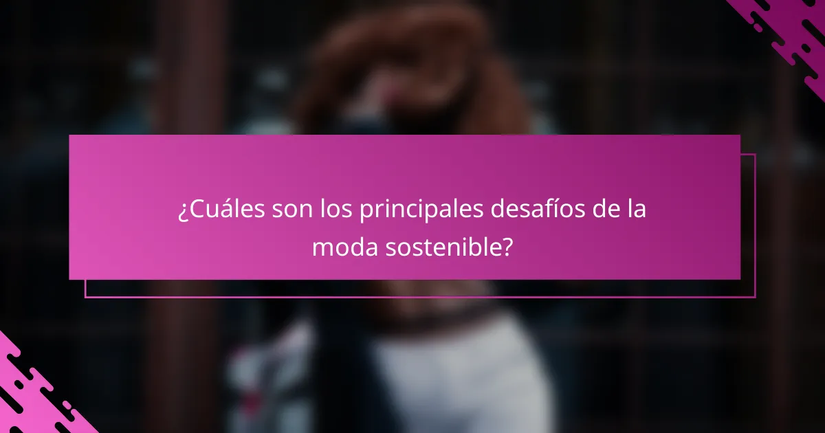 ¿Cuáles son los principales desafíos de la moda sostenible?