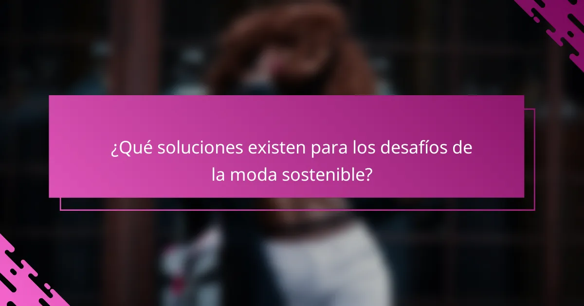 ¿Qué soluciones existen para los desafíos de la moda sostenible?