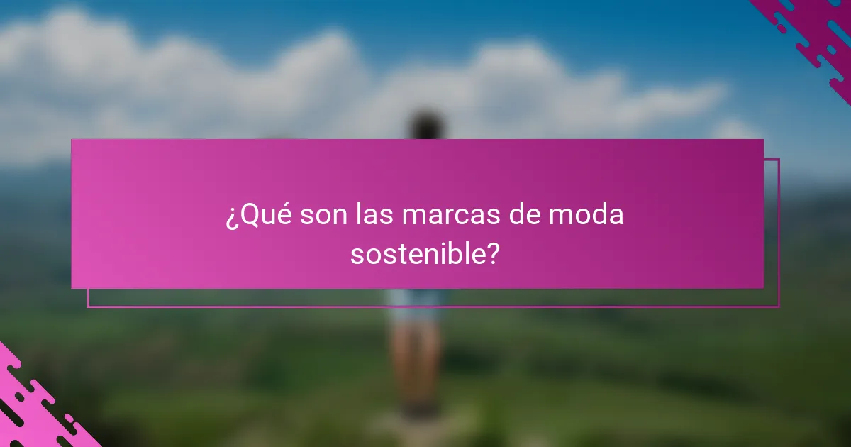 ¿Qué son las marcas de moda sostenible?