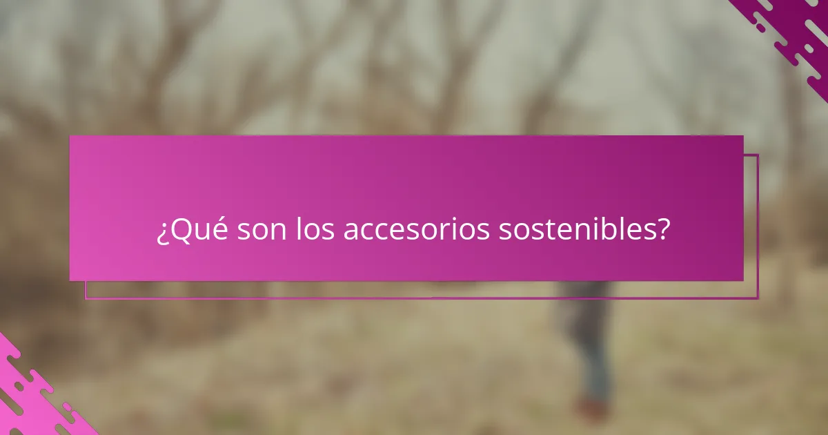 ¿Qué son los accesorios sostenibles?